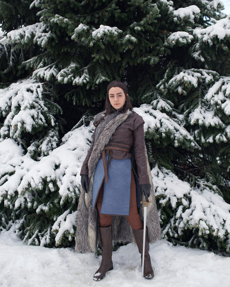 Illustration for article titled There Must Always Be Two Starks In Winterfell